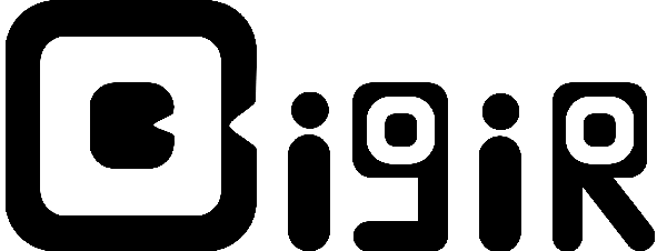 bigir logo